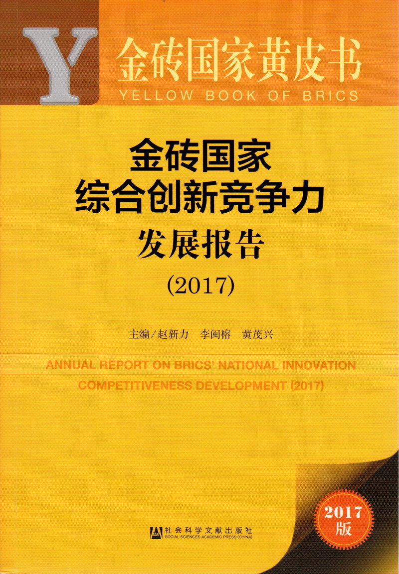 可以免费看美女搞基视频的网站金砖国家综合创新竞争力发展报告（2017）